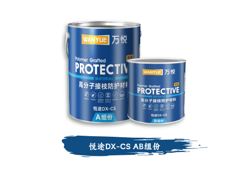 悦途DX-CS AB组份